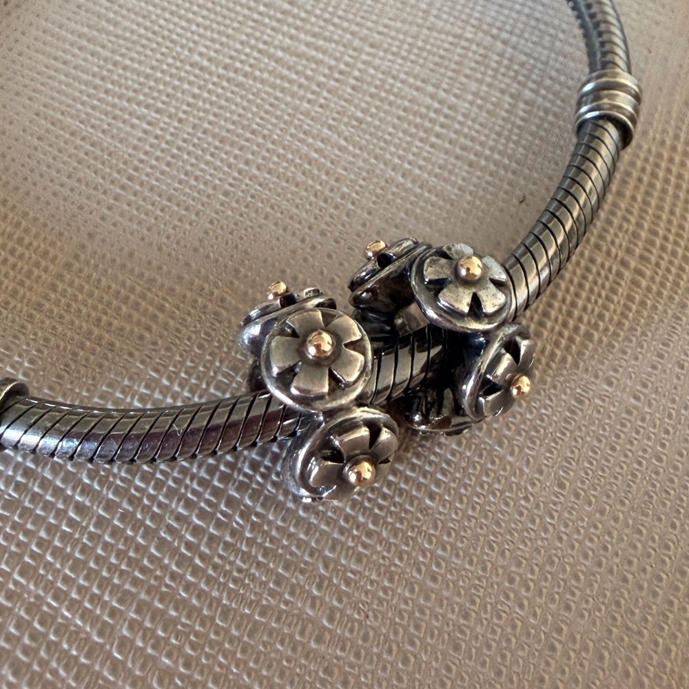 Extremely rare Pandora German Oxidized Two Tone spacers